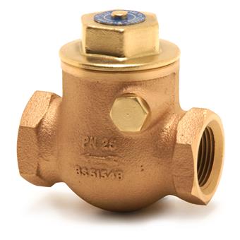 Product Image for Pegler terugslagkep swing FF Rc3" (DN80)